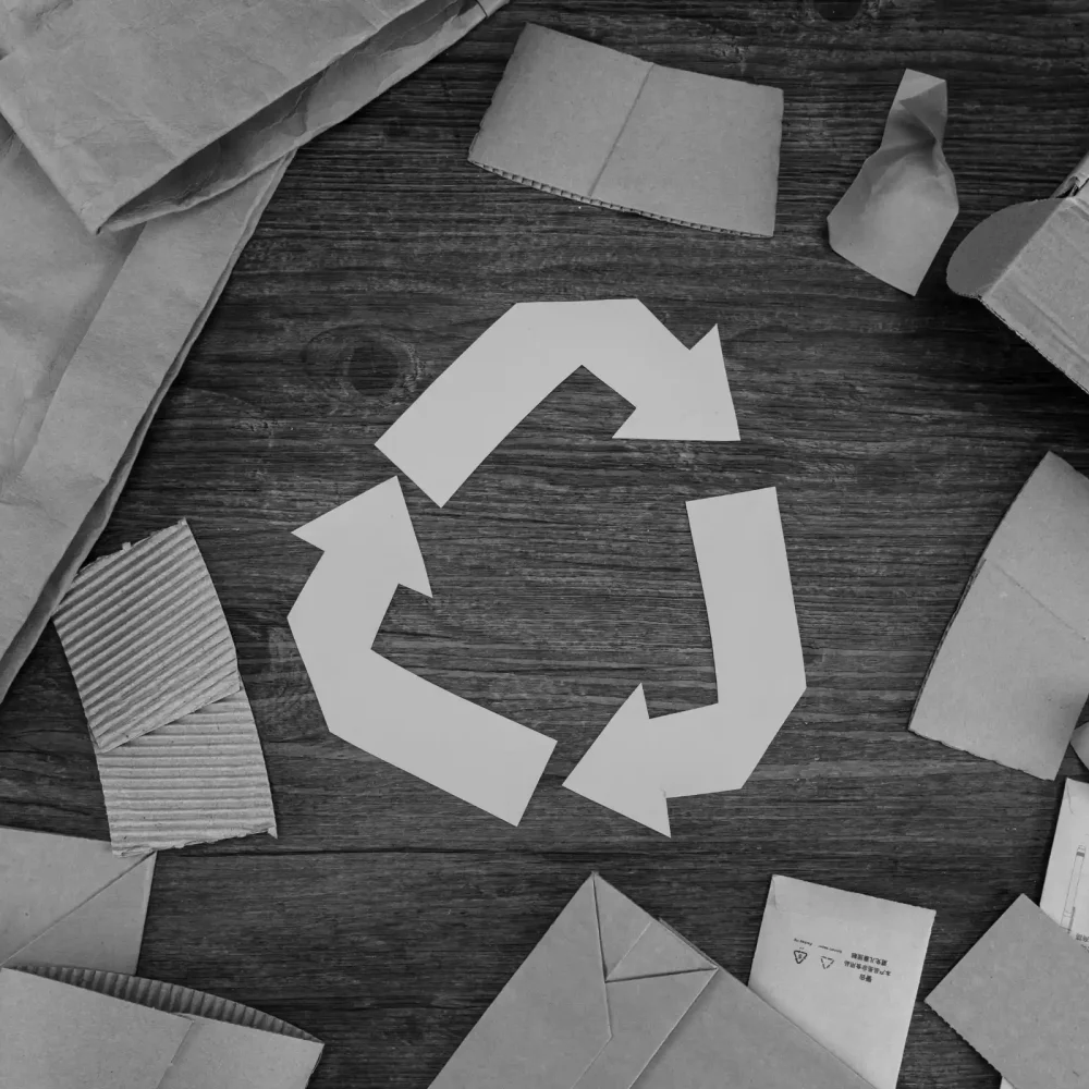 Eco-friendly recyclable cardboard boxes and sustainable returns handling